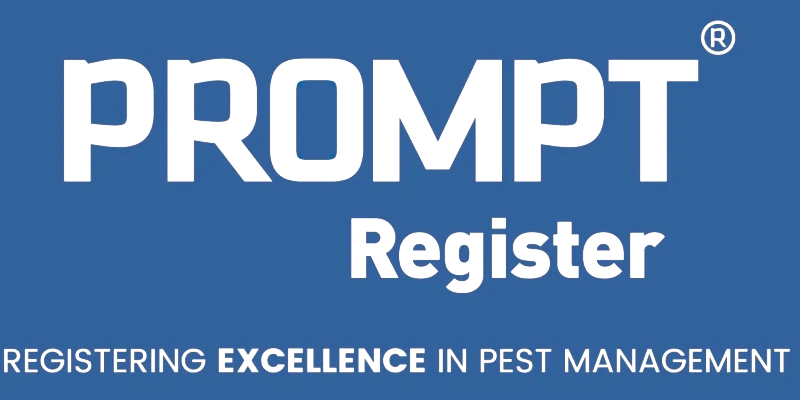 prompt